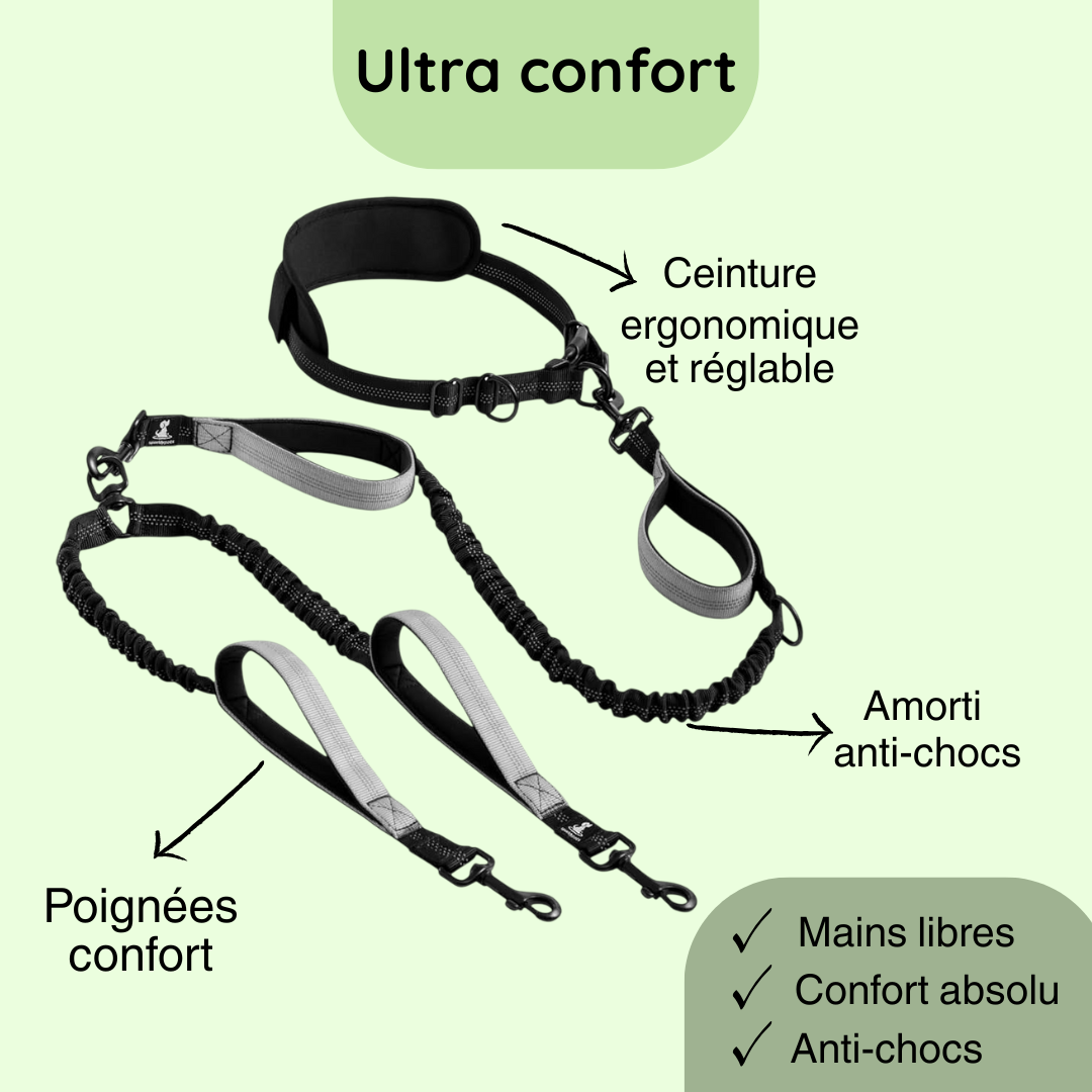 Laisse Double Mains Libres