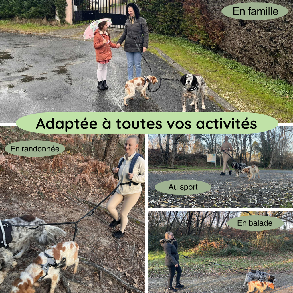 Laisse Double Mains Libres