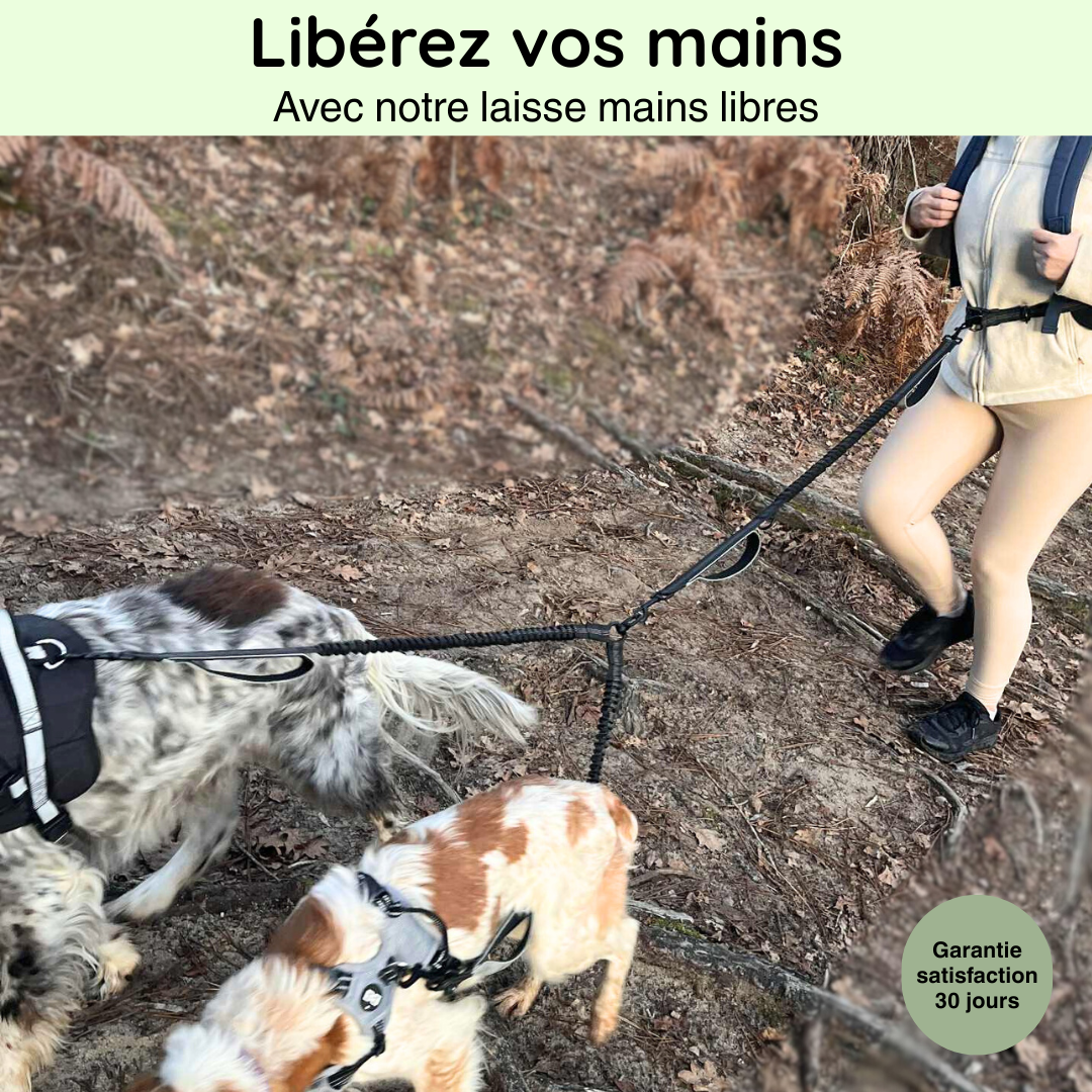 Laisse Double Mains Libres
